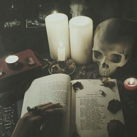 skull, candles and spells Witchy Academia, Photo Halloween, Aesthetic Types, Yennefer Of Vengerberg, Witchy Aesthetic, Season Of The Witch, The Elder Scrolls, Witch Aesthetic, Goth Aesthetic