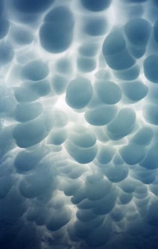 Mammatus cloud formation appeared after a tornado hit near Lake Ontario, Canada. Mammatus Clouds, Wild Weather, Lake Ontario, Foto Art, Storm Clouds, Natural Phenomena, Sky And Clouds, Beautiful Sky, Extreme Weather