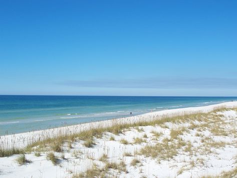 10 Reasons To Vacation In Cape San Blas, Florida Best Beaches In Florida, Cape San Blas Florida, Beaches In Florida, Best Beach In Florida, Cape San Blas, Florida State Parks, Best Snorkeling, Pensacola Beach, Visit Florida