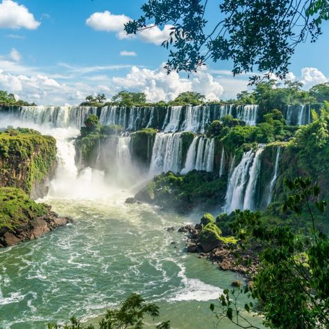 14 Reasons To Put Incredible Iguazu Falls On Your Bucket List Iguazu National Park, Plunge Pools, Iguazu Falls, San Diego Houses, Argentina Travel, Victoria Falls, Plunge Pool, Beautiful Sights, Boat Tours