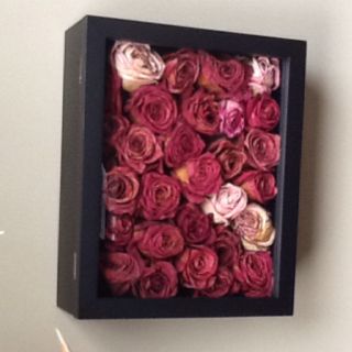 Great idea to preserve your roses.  They sell the shadowboxes at Walmart. Rose Display Ideas, Things To Do With Dried Roses, Old Roses Diy What To Do With, Dried Roses Ideas Decoration, What To Do With Dried Roses, Dry Roses Ideas, What To Do With Roses, Dried Roses Ideas Diy, Dried Roses Ideas