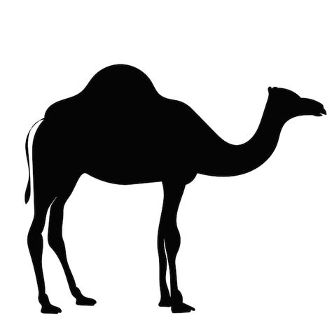 Camel Tattoo, Camel Drawing, Desert Silhouette, Camel Silhouette, Camel Craft, Camels Illustration, Rosa Diaz, Gift Making, Bottle Craft