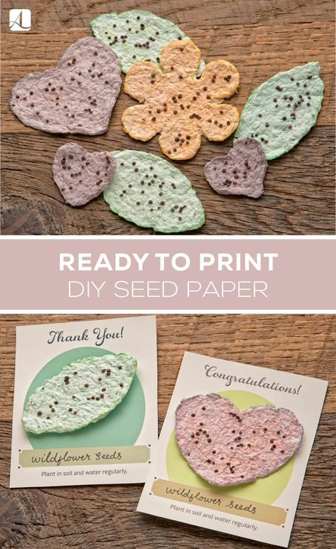 Make Your Own Seed Paper - American Lifestyle Magazine