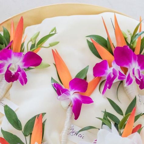 Genesis Floral on Instagram: "Only orchids and tropical blooms for these lovely wedding boutonnières" Tropical Wedding Groomsmen, Tropical Boutonniere, Bride Things, Orchid Boutonniere, Mens Boutonniere, Wedding Groomsmen, Floral Arrangements Wedding, Tropical Wedding, Wedding Floral