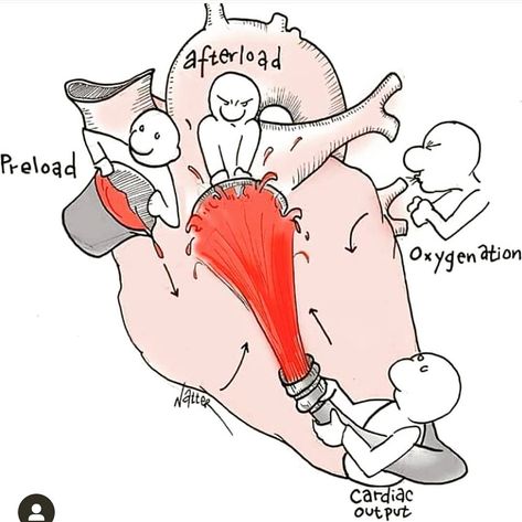 Watercolor Doodle Art, Emt Study, Cardiac Sonography, Sonography Student, Nurse Teaching, Nurse Things, Nursing Fun, Watercolor Doodle, Nursing Board