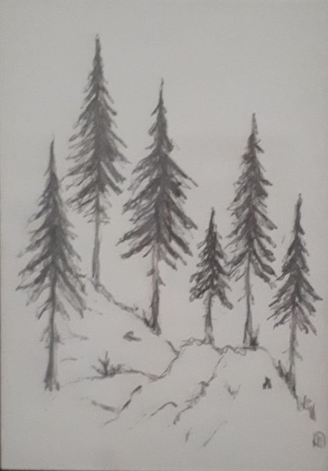 Tree Base Drawing, How To Draw Forest Trees, Basic Tree Drawing, How To Draw Winter Trees, Snowy Tree Drawing, Simple Forest Drawing, How To Draw Trees, Landscape Drawing Easy, Tree Drawing Simple