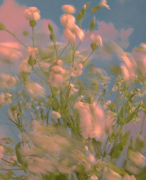 Clo on Instagram: “By @brrch_floral June 2020 💕” The Grass, White Flowers, Blue Sky, Flowers, Green, Pink, On Instagram, Blue, White