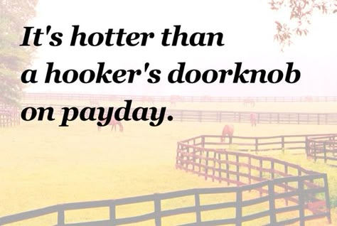 Classic Southern Phrases Everyone Should Be Using - BuzzFeed Mobile Funny Summer Quotes Hilarious Humor, Funny Southern Sayings Hilarious, Country Slang Southern Sayings Funny, Southern Quotes And Sayings Funny, Southern Sass Quotes, Southern Talk, Southern Expressions, Funny Southern Sayings, Southern Slang