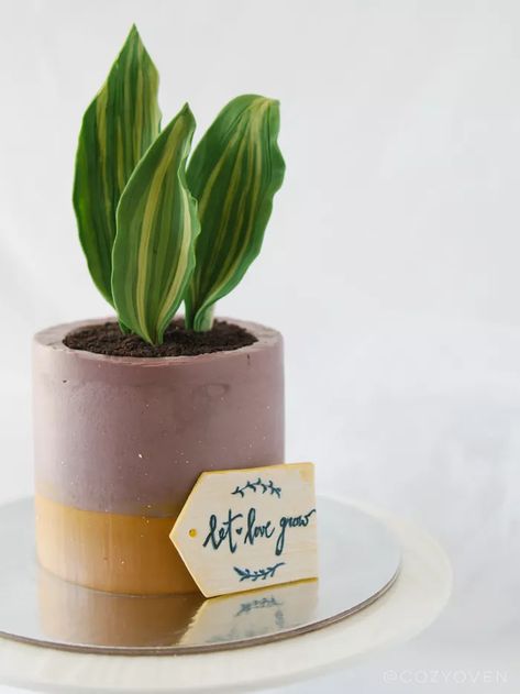 Plant Lover Cake Design, Plants Cake Design, Plant Theme Cake, Plant Cake Ideas, Plant Lover Cake, Plant Cake Design, Plant Themed Cake, Plant Cakes Ideas, Plant Cakes