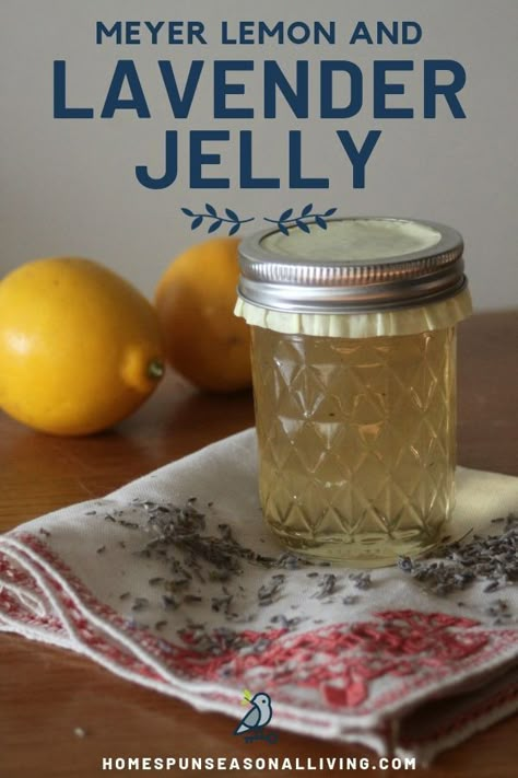 Combine citrus and homegrown herbs to make this amazing jelly! Make this delicious Meyer lemon and lavender jelly as an easy way to preserve your citrus. Get the easy canning recipe so that you can start today! There is also a few suggestions as to how to use this homemade Meyer lemon and lavender jelly. #canning #recipeideas #homesteading #jelly #citrus #easyrecipe #recipes Lavender Jelly, Easy Canning, Preserving Foods, Lavender Recipes, Jam Recipes Homemade, Canning Jam, Homemade Jelly, Canned Goods, Jam And Jelly