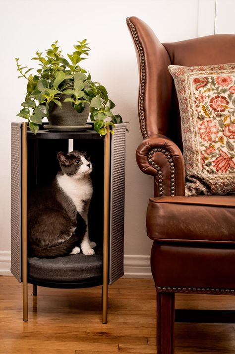 High End Cat Furniture, Diy Cat Furniture, Rabbit Furniture, Modern Cat House, Luxury Cat Tree, Cat Furniture Design, Apt Decor, Modern Cat Furniture, Modern Cat Tree