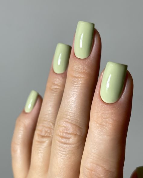 Moments for self-care and zen: cool matcha vibes only 🍵💚 #622 “Me Time” is the soothing green you didn’t know you needed, bringing a sense of calm to your everyday hustle. Perfect for quiet moments at home or weekend nature escapes. And what are your associations with this color? Nails painted by @pro.nails.lab 🌱 Matcha Nail Color, Nail Colors Pastel, Matcha Nail, Matcha Green Nails, Pro Nails, Nails Painted, Color Nails, Quiet Moments, Nail Paint