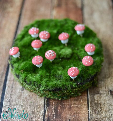 Tutorial for making an easy woodland dessert display by covering FloraCraft® Make It: Fun® Foam Discs with moss. Absolutely perfect for cake pops, candy kebabs, or any treat on a stick! Marshmallow Mushrooms, Mushroom Dessert, Woodland Themed Party, Mushroom Party, Chocolate No Bake, Enchanted Forest Birthday, Woodland Party Theme, Forest Birthday Party, Dessert Display Stand