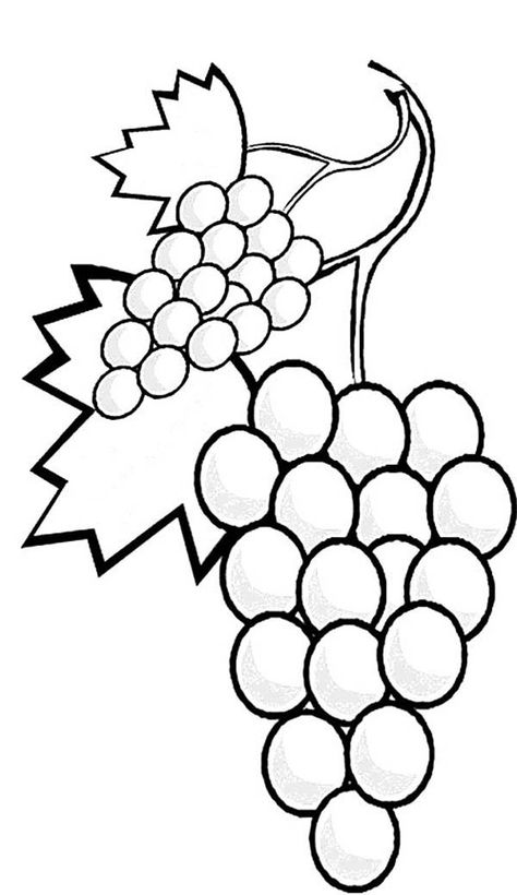 Vegetable Coloring Pages, Deco Fruit, Food Coloring Pages, Fruit Coloring Pages, Fruits Drawing, Fruits For Kids, Kids Pages, Apple Coloring, Disney Coloring Pages