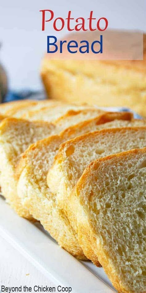 Homemade potato bread is a delicious bread that is flavorful and pillowy soft. This bread is made from a cooked russet potato that is added to the dough. This bread is perfect for sandwiches or for toasting and topping with butter and honey. Best Mashed Potatoes, Cinnamon Roll Dough, Classic Sandwich, Fermented Cabbage, With Mashed Potatoes, Potato Bread, Delicious Bread, Sandwich Bread, Polish Recipes