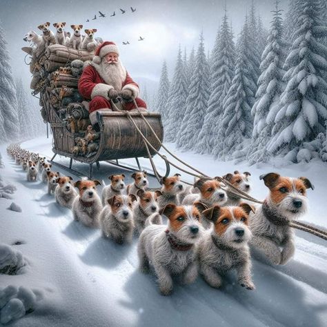 Dog Sleigh, Dog Poems, Jack Russell Puppies, Good Night Beautiful, Dachshund Christmas, Christmas Wonderland, Jack Russell Terrier, Christmas Movies, Jack Russell