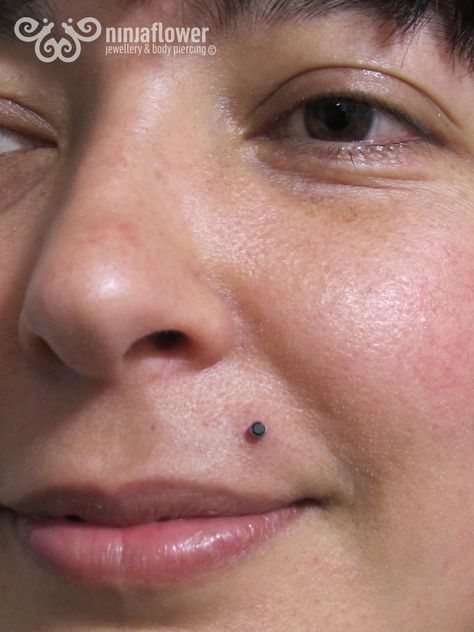 Beauty mark piercing  #beautymark #beautymarkpiercing #piercings #bodypiercing #bodyjewelry #implantgrade #legitbodyjewelry #ninjaflower #sparkly #pretty Beauty Mark Piercing, Monroe Piercing, Lip Piercings, Beauty Marks, Monroe Piercings, Beauty Mark, Lip Piercing, Body Mods, Nose Piercing