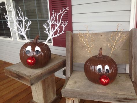 My pumpkin reindeer Rudolph Pumpkin Painting, 8 Reindeer, Christmas Pumpkins, Christmas Decorations Diy Outdoor, Halloween Pumpkins Carvings, Painted Pumpkins, Christmas Reindeer, Holly Jolly, Pumpkin Decorating