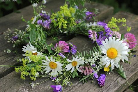 Midsummer flowers Līgo Svētki, Midsummer Flowers, Summer Deco, Meadow Garden, Pretty Wreath, Beltane, Tree Wedding, Single Flower, Spring Blooms