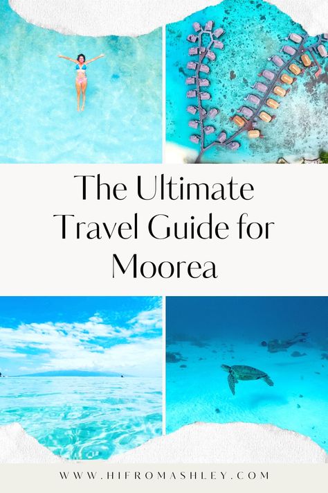 The ultimate travel guide for moorea Tahiti Vacation, French Polynesia Honeymoon, Moorea French Polynesia, French Polynesian Islands, Tahiti Travel, Anniversary Trips, Island Tour, Island Getaway, French Polynesia