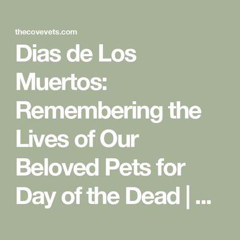 Dias de Los Muertos: Remembering the Lives of Our Beloved Pets for Day of the Dead | The COVE Veterinary Technician Week, Dog Captions, November Holidays, Mexican Holiday, Pet Remembrance, The Cove, Life Care, Pet Day, Traditional Mexican