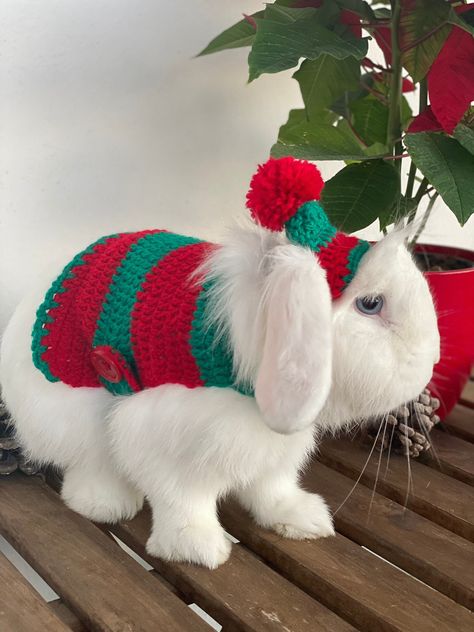 Christmas Dogs Funny, Bunny Harness, Bunny Clothes, Crochet Dog Clothes, Crochet Pet, Pet Bunny Rabbits, Rabbit Clothes, Handmade Bunny, Easy Diy Christmas Gifts