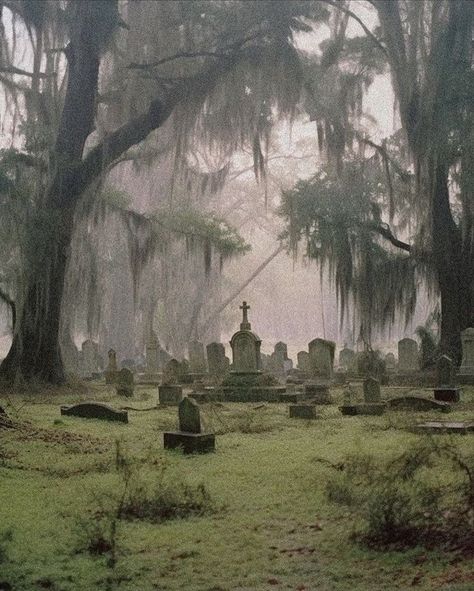 Creepy Town Aesthetic, New England Gothic Aesthetic, Deep South Aesthetic, Creepy Town, South Aesthetic, Paradis Sombre, Southern Gothic Aesthetic, Ethel Cain, Ange Demon