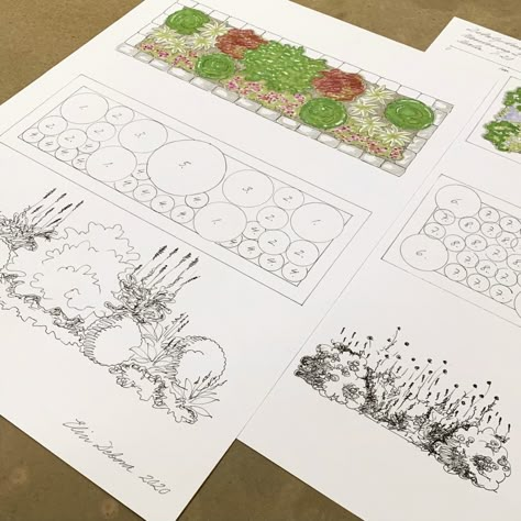 Elin Debora | Portfolio Simple Planting Ideas, Landscape Planting Plan, Planting Plan Landscape Architecture, English Landscape Design, Planting Design Plan, Garden Design Sketch, Garden Design Drawing, Landscape Design Plan, Landscape Design Portfolio