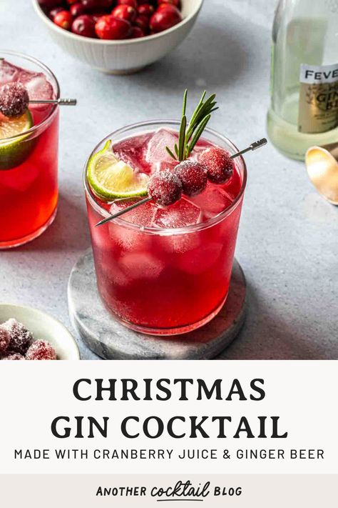 Made with cranberry juice, maple syrup and a splash of ginger beer, this Christmas gin cocktail is crisp and refreshing. We've garnished it with fresh rosemary and sugared cranberries for a festive, vibrant cocktail that will be the hit of your holiday gathering. Gin Holiday Cocktail, Tom Collins Drink Recipes, Christmas Mocktails, Bourbon Apple Cider, Romantic Cocktails, Maple Whiskey, Christmas Gin, Ginger Cocktails, Rosemary Syrup