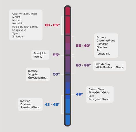 Wine Temperature Chart, Proper Food Storage, Wine Temperature, Temperature Chart, Wine Folly, Refrigerator Temperature, Wine Knowledge, Basement Reno, Wine Drinking