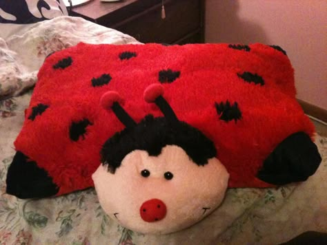 Pillow Pets Ladybug, Pillow Pet Ladybug, Pillow Pets Aesthetic, Ladybug Pillow Pet, Ladybug Pillow, Pillow Pets, 2010s Nostalgia, Childhood Memories 2000, A Ladybug