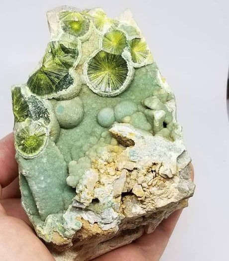 Concentric Green Radial Wavellite from Garland County, Arkansas, USA - 9GAG Crystals Pictures, Scientific Knowledge, Eye Twitching, Rocks And Fossils, Rock Minerals, Pretty Rocks, Beautiful Rocks, Amazing Photo, Rock Collection