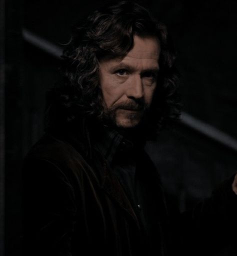 Handsome Wizard, Gary Oldman Sirius Black, Harry Potter Prisoner Of Azkaban, Harry Potter Sirius, Harry Potter Shifting, Black Shepherd, Sirius Remus, Sirius Orion Black, Orion Black