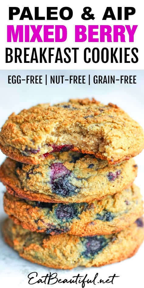 Aip Breakfast Bars, Aip Paleo Breakfast Recipes, Aip Blackberry Recipes, Easy Aip Meal Plan, Aip Snacks Easy, Aip Snacks On The Go, Paleo Party Snacks, Aip Breakfast Recipes Easy, Aip Lunch Ideas