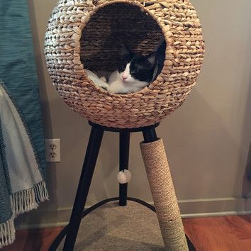 Shop Wayfair for Cat Beds to match every style and budget. Enjoy Free Shipping on most stuff, even big stuff. Diy Cat Tower, Cat Tree Plans, Kat Diy, Chat Diy, Cool Cat Trees, Modern Cat Tree, Cat Towers, Cat Tree Condo, Cat Perch