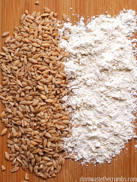 Make Your Own Flour, Wheat Berry Recipes, All Purpose Flour Recipes, How To Make Flour, Einkorn Flour, Wheat Recipes, Grain Mill, Vitamix Recipes, Dry Beans