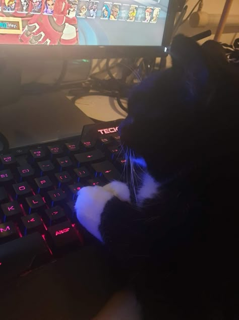 Gamer Goth Aesthetic, Gamer Nerd Aesthetic, Gamer Cat Pfp, Gaming Aesthetic Boy, Gamer Guy Aesthetic, Gamer Couple Aesthetic, Gamer Aesthetic Boy, Gamer Boyfriend Aesthetic, Dark Gamer Aesthetic