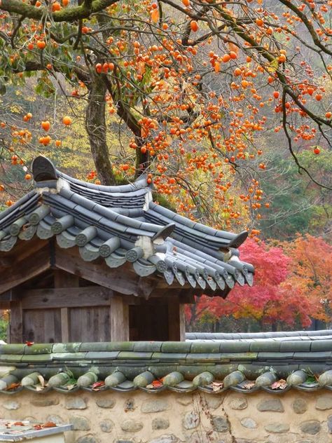 Joseon Dynasty Aesthetic, Hanok House, Korean Traditional House, Ancient Korea, Sejarah Asia, Korea South, Joseon Dynasty, Asian Landscape, Asian Architecture