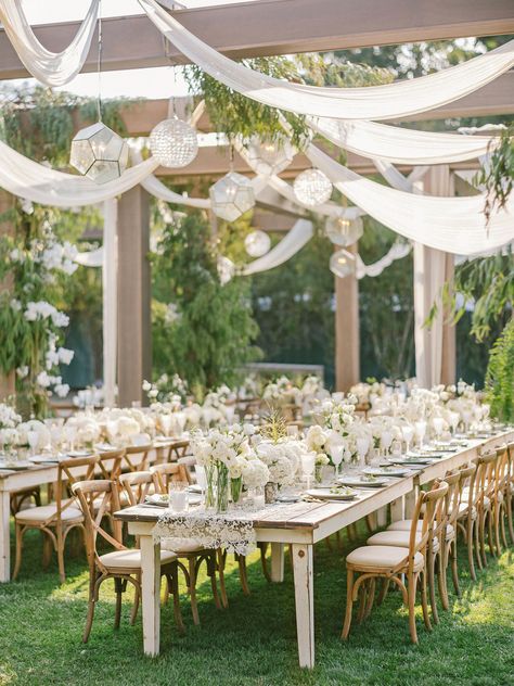 Dining 	Buffet 	Wedding cake display 	Dessert display 	Bar/drinks station 	Guest book 	Gifts Feather Eucalyptus, Reception Checklist, White Bougainvillea, Pergola Wedding, Wedding Reception Checklist, Vow Ideas, Wedding Pergola, Pepper Berry, Drinks Station