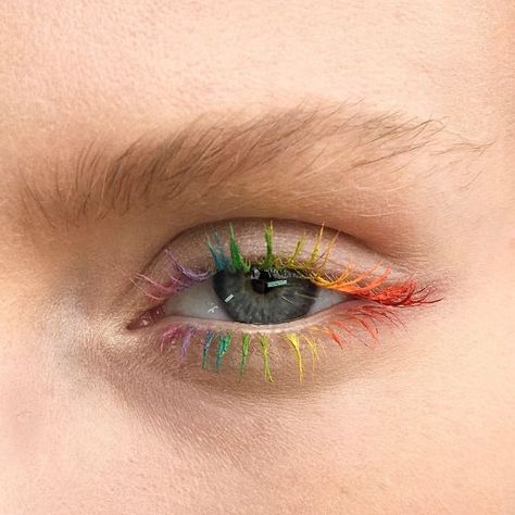 Rainbow Eyelashes Are the Next OMG Beauty Trend | Brit + Co Smink Inspiration, Fake Eyelashes, How To Apply Makeup, Aesthetic Makeup, An Eye, Beauty Trends, Makeup Art, Makeup Inspo, Apple Cider