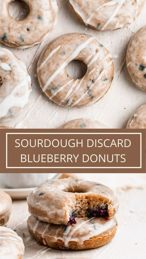 sourdough discard blueberry donuts Blueberry Recipes Sourdough, Discard Blueberry Bagels, Homemade Grab And Go Breakfast, Sour Dough Doughnut Recipe, Sourdough Donuts Farmhouse On Boone, Sourdough Doughnut Recipe Baked, Sourdough Cannoli, Sourdough Discard Blueberry Bagels, Discard Donuts Baked