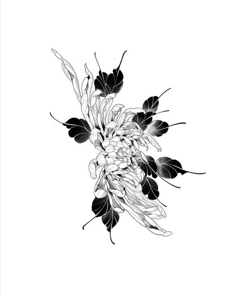 Queen Of The Night Flower Drawing, Japanese Lily Tattoo, Chrisantem Tattoo, Chrysanthemum Tattoo Design, Crisantemo Tattoo, Floral Skull Tattoos, Chrysanthemum Flower Tattoo, Flower Tattoo Stencils, Flor Tattoo