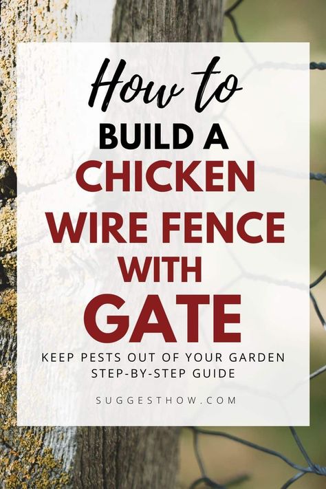 Chicken Wire Around Garden, Diy Chicken Wire Garden Fence, Chicken Wire Fence For Garden, Diy Fence With Chicken Wire, Chicken Fence Gate, Garden Fence With Chicken Wire, Chicken Wire Fencing, Diy Fences And Gates, Garden Fence Chicken Wire