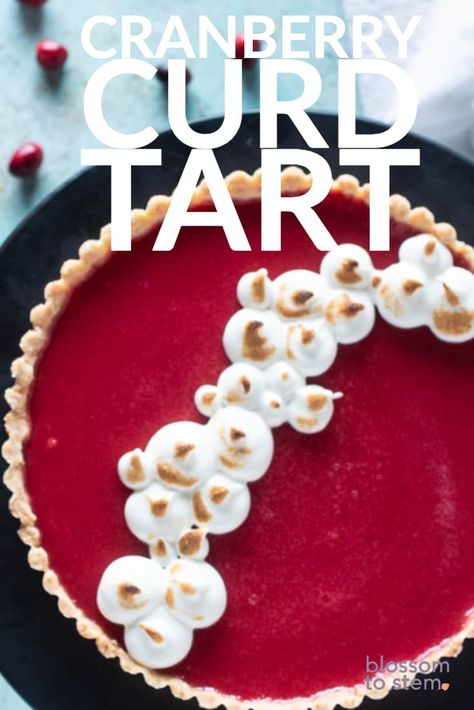 Cranberry Curd Tart with Toasted Meringue. A puckery, silky, vanilla and orange scented cranberry curd atop a crisp press-in shortbread crust. So good. Cranberry Curd Tart, Cranberry Meringue Pie, Dessert Tarts, Cranberry Curd, Cranberry Filling, Healthy Pie Recipes, Toasted Meringue, Curd Tart, Christmas Bakes