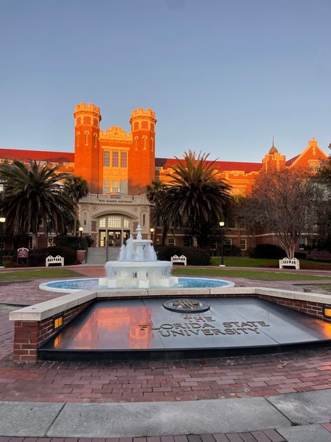 Fsu Aesthetic, Deborah Core, Beach University, Usc College, Florida University, College Acceptance Letter, Fsu Football, College Vision Board, College Acceptance