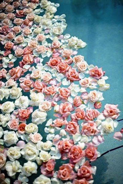 Floating Roses in a pool, breathtaking.... Lovely Jewelry and Diamond Rings at www.brilliance.com for your wonderful pool wedding! Scene Girl, Floating Flowers, Colorful Roses, Flower Child, Ikebana, Love Flowers, Pretty Flowers, Pretty Pictures, Assemblage