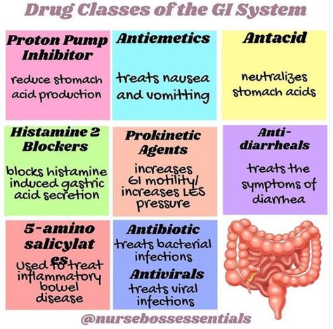 Gi Nursing, Nursing School Pharmacology, Gi System, Nurse Study Notes, Nursing School Studying, Nursing School Tips, Nursing Tips, Stomach Acid, Nursing Study