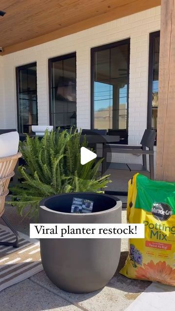 Tiffany Hager | Myrusticmodernhome on Instagram: "Who’s gearing up for spring?! Comment: LINK for my favorite planter to be sent to your DM! I had to share this restock alert!! Best seller last year, great size for the price! #walmartdeals #walmartfinds #walmartfind #ltk #Itkunder25 #planter #fern #patiodecor #springflowers #organicmodern #modernorganic" Fern Planters Ideas, Front Door Planter Ideas, Planters For Front Porch, Front Porch Planter Ideas, Fern Planters, Lake House Plans, Walmart Deals, Walmart Finds, Tall Planters