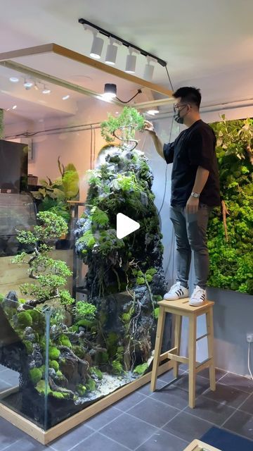 550K views · 73K likes | Mossarium Terrarium Malaysia on Instagram: "Immersed in the enchanting world of giant terrarium wonders, where bonsai and moss unite in a grand display of nature’s elegance. 🌿✨ Dive into the magic of oversized beauty!   #TerrariumDreams #BonsaiMagic #MossMarvel #mossariumkl #interior #moss"