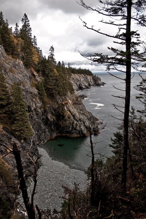 The Bold Coast | The Bold Coast in Cutler, Maine. One of Mai… | Flickr East Coast America, Northeast Coast Aesthetic, Maine Woods Aesthetic, East Coast Canada Aesthetic, Coast Of Maine, Maine Usa Aesthetic, Maine Coast Aesthetic, Coastal Maine Aesthetic, Maine Gothic